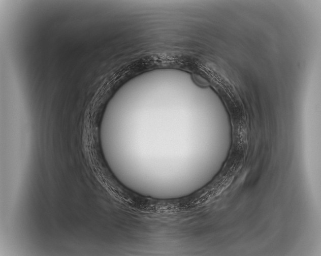 X0000115550865200911131602