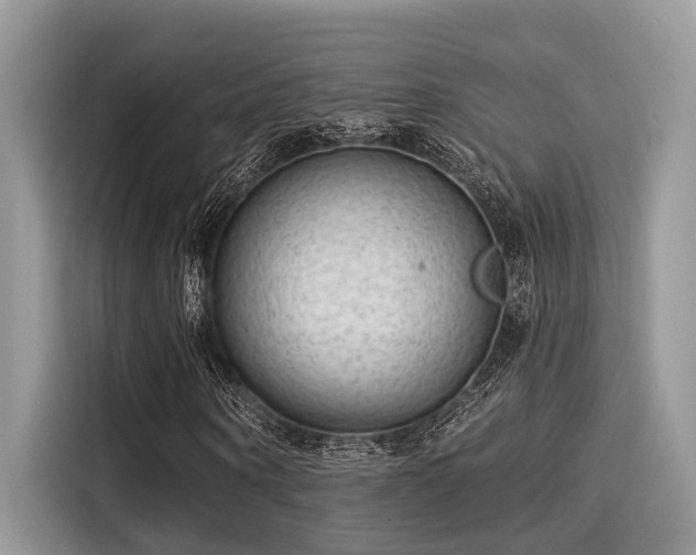 X0000115550866200911131602