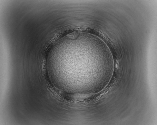 X0000115550867200911131602