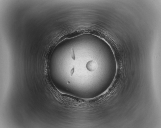 X0000115550868200911131602