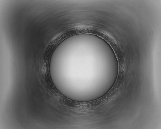 X0000115550869200911131602