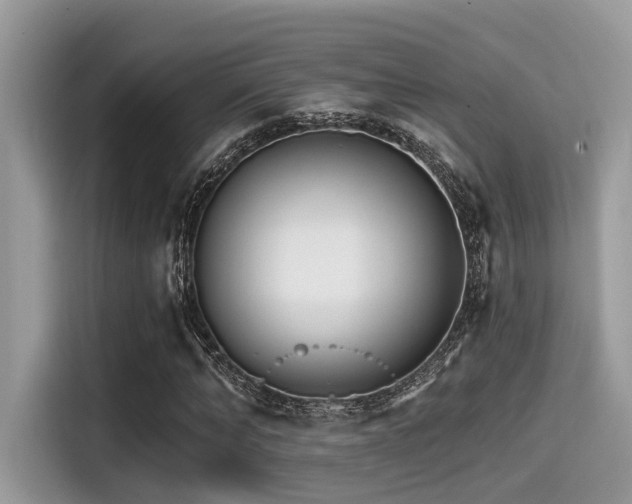 X0000115550870200911131602