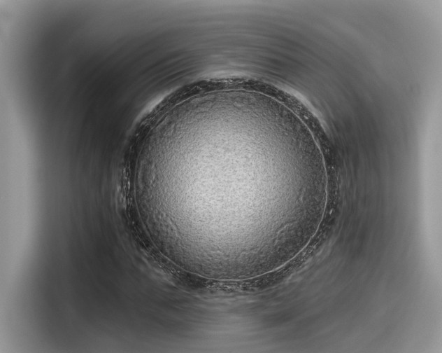 X0000115550871200911131602