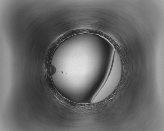 X0000115550872200911131602