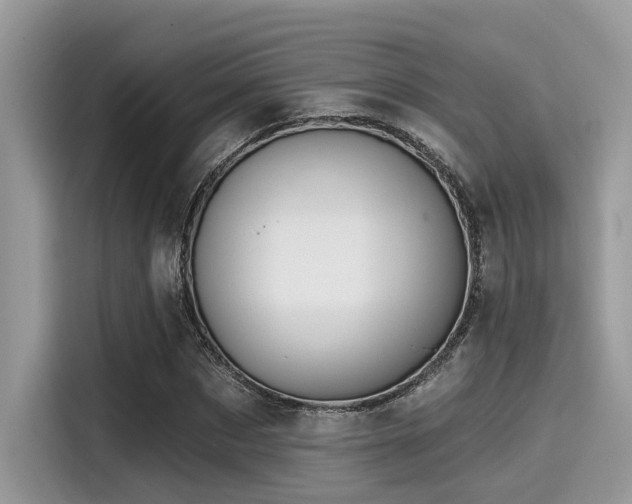 X0000115550873200911131602