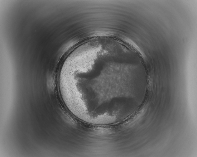 X0000115550874200911131602