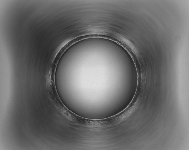 X0000115550875200911131602