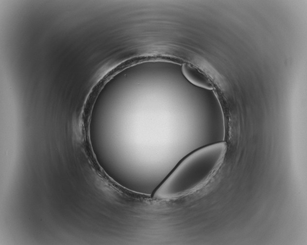 X0000115550876200911131602