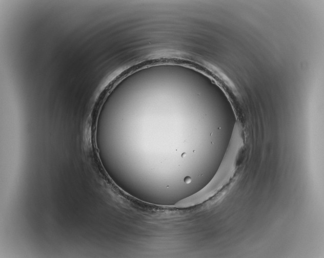 X0000115550877200911131602