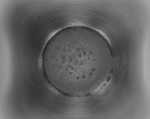 X0000115550879200911131602