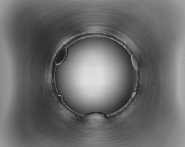 X0000115550880200911131602