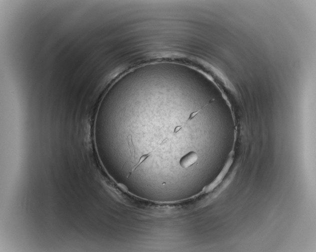 X0000115550881200911131602