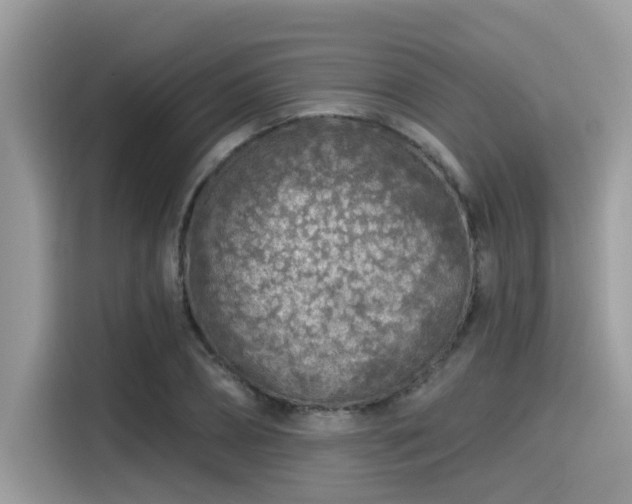 X0000115550882200911131602