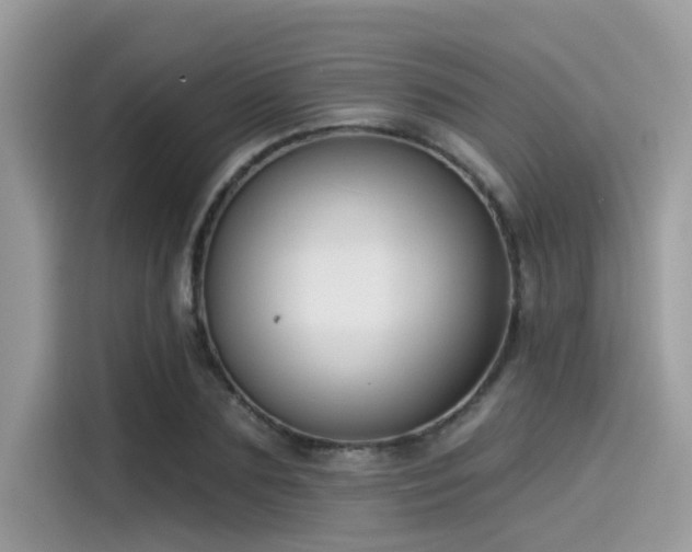 X0000115550883200911131602