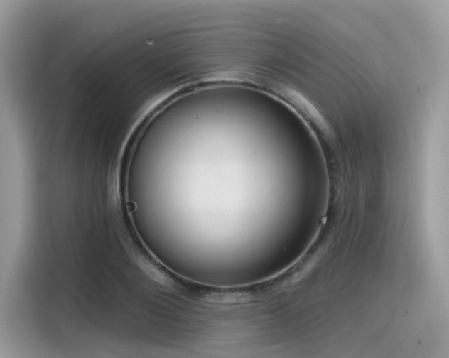 X0000115550884200911131602