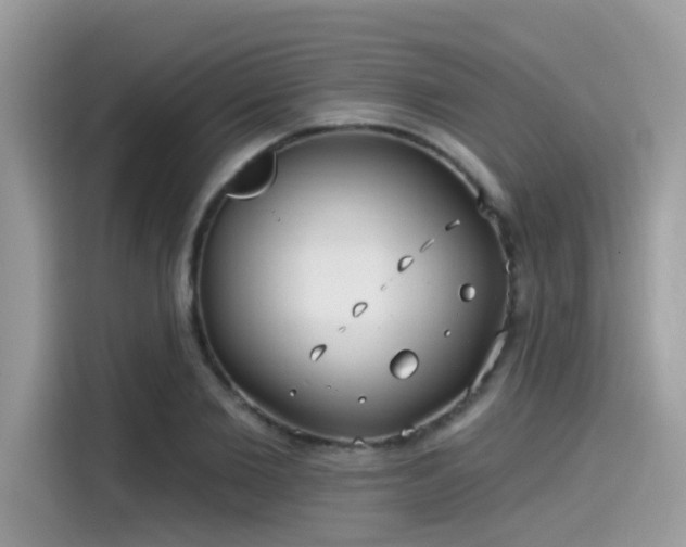 X0000115550885200911131602