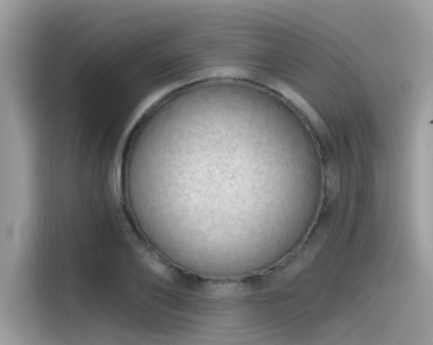 X0000115550886200911131602