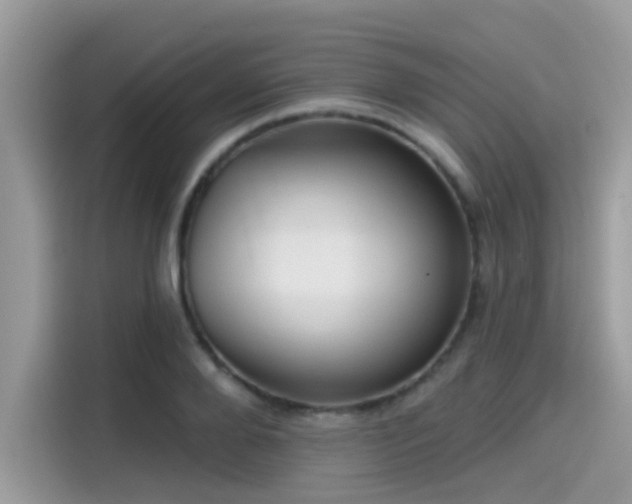 X0000115550888200911131602