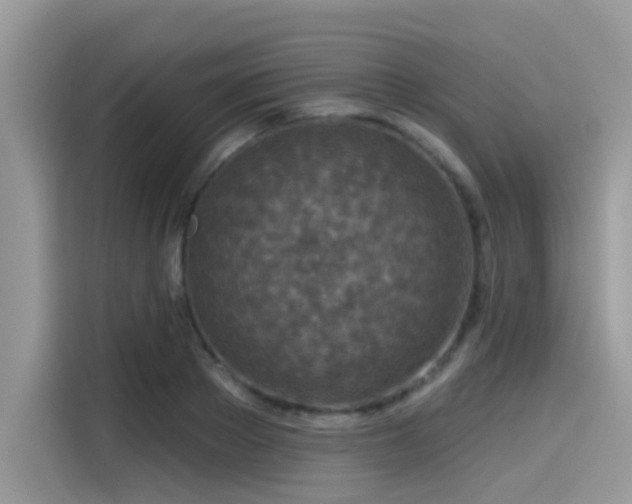 X0000115550889200911131602