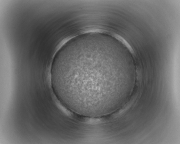 X0000115550890200911131602