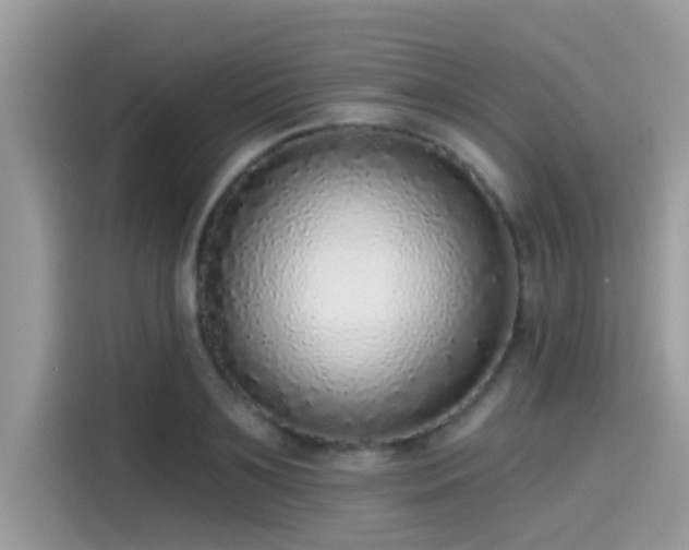 X0000115550891200911131602