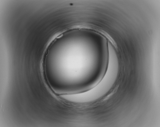 X0000115550893200911131602