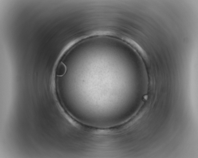 X0000115550894200911131602