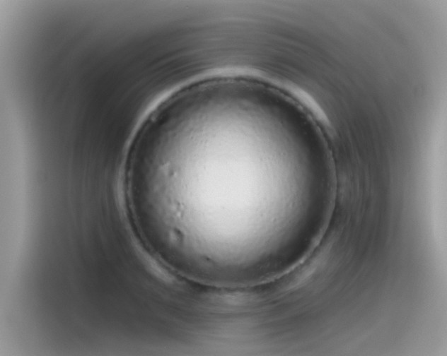 X0000115550895200911131602