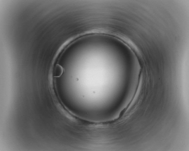 X0000115550896200911131602