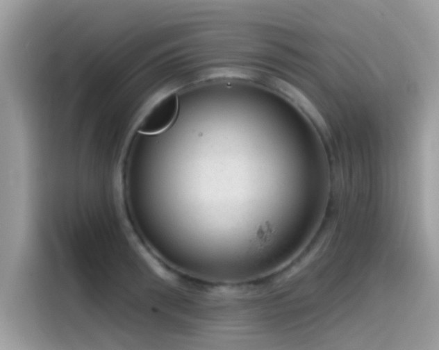 X0000115550898200911131602