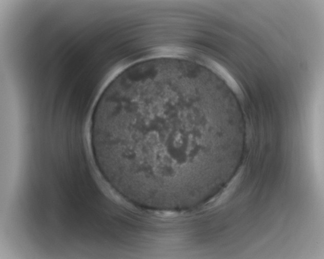 X0000115550899200911131602