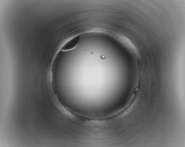 X0000115550900200911131602