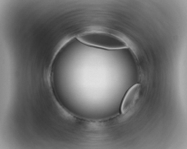 X0000115550901200911131602