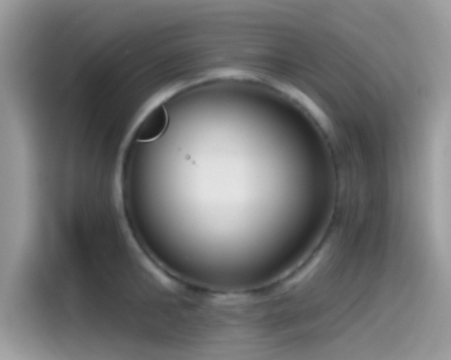 X0000115550902200911131602