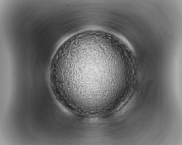 X0000115550903200911131602