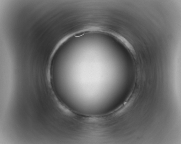 X0000115550904200911131602