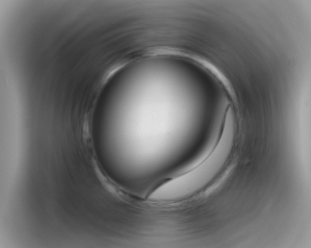 X0000115550905200911131602