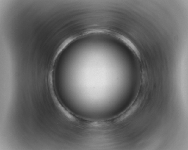 X0000115550906200911131602