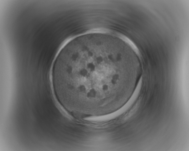 X0000115550907200911131602