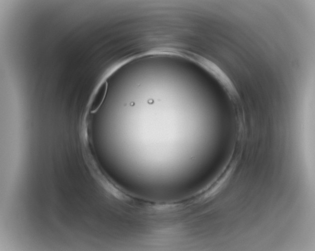 X0000115550908200911131602