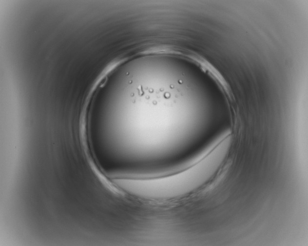 X0000115550909200911131602