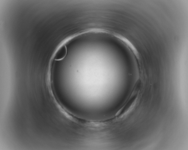 X0000115550910200911131602