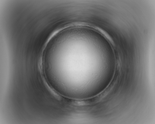 X0000115550911200911131602