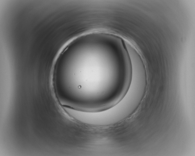 X0000115550912200911131602