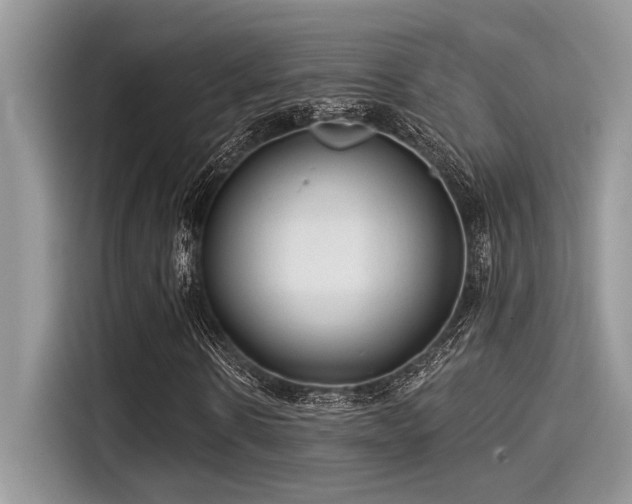 X0000115550914200911131601