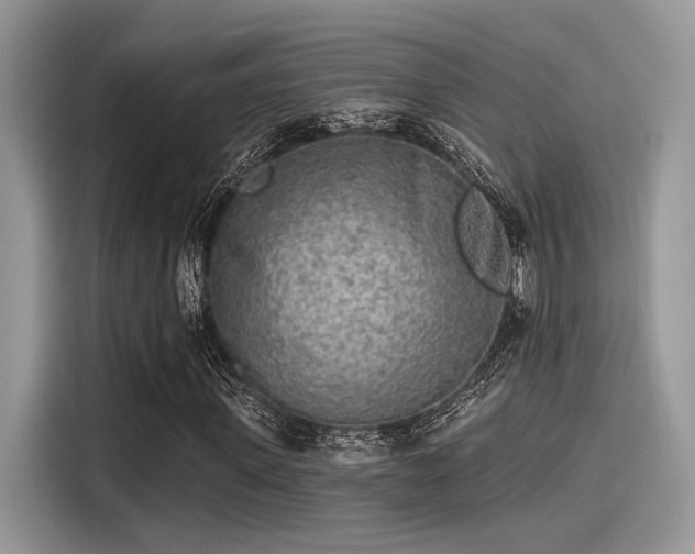 X0000115550915200911131601