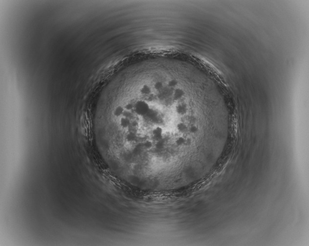 X0000115550917200911131601