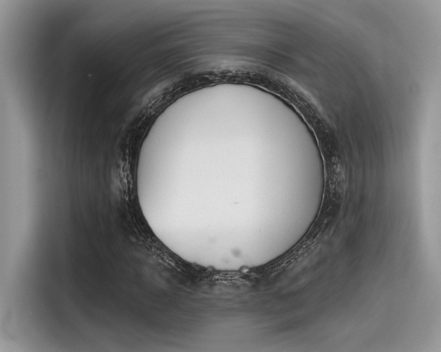 X0000115550918200911131601