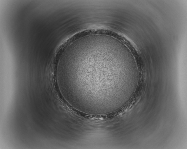 X0000115550919200911131601