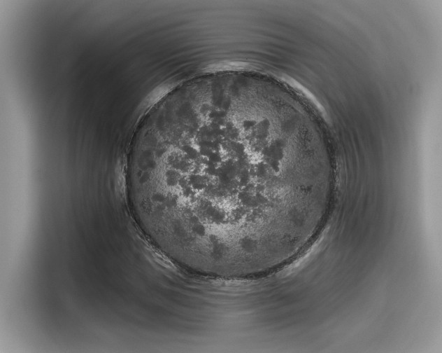 X0000115550921200911131601